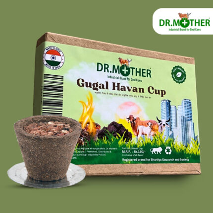 Gomay Gugul Havan Cup Pack of 12 Cups