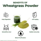 Wheatgrass Powder 200 gm - Image 7