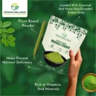 🌿Organic Moringa Powder 250gm -ઓર્ગેનિક મોરિંગા પાઉડર - Image 2