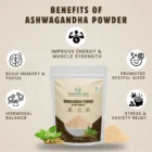 🌿Ashwagandha Root Powd અશ્વગંધા રુટ પાઉડર - Image 4