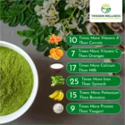 🌿Organic Moringa Powder 250gm -ઓર્ગેનિક મોરિંગા પાઉડર - Image 6
